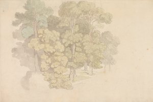Un grupo de árboles de Thomas Rowlandson